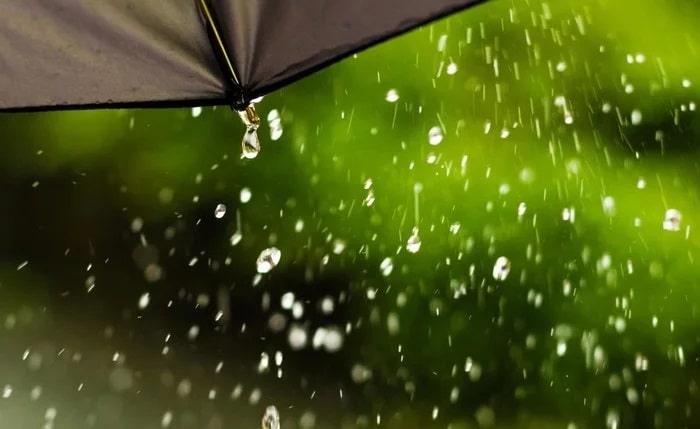 hạt mưa ; hạt mưa nguyễn linh khiếu ; đọc hiểu hạt mưa ; đọc hiểu hạt mưa nguyễn linh khiếu ;