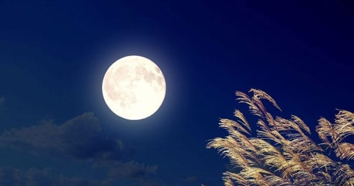 ngắm trăng ; đọc hiểu ngắm trăng ; trắc nghiệm ngắm trăng